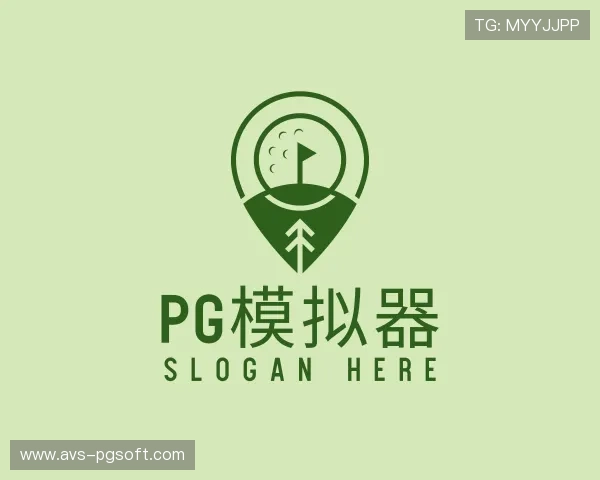 认识pg模拟器
